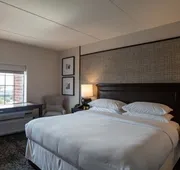 Sheraton Chicago Northbrook Hotel hotel detail image 4