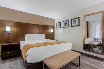 Comfort Suites Tucson near Sabino Canyon hotel thumbnail 8