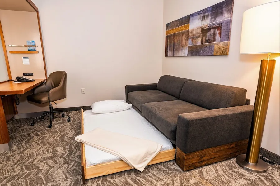 SpringHill Suites by Marriott San Antonio Alamo Plaza/Convention Center hotel detail image 6