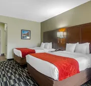 Comfort Suites Danville hotel detail image 5