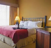 Holiday Inn Pewaukee - Milwaukee West by IHG hotel detail image 4