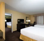 Holiday Inn Express & Suites Detroit North - Troy by IHG hotel detail image 5