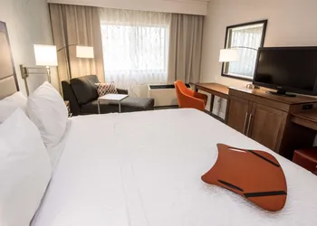 Hampton Inn Albany-Western Ave/University Area hotel thumbnail 4