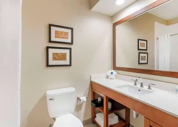 Comfort Inn Summerville - Charleston hotel thumbnail 6