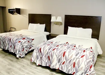 Red Roof Inn & Suites Lake Orion/ Auburn Hills hotel thumbnail 2