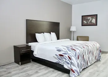 Red Roof Inn & Suites Lake Orion/ Auburn Hills hotel thumbnail 5