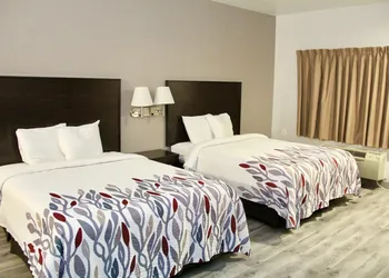 Red Roof Inn & Suites Lake Orion/ Auburn Hills hotel thumbnail 6