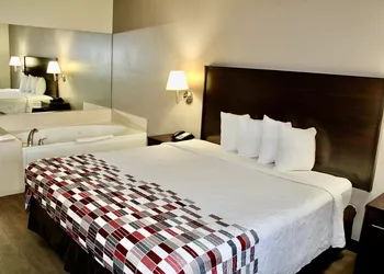 Red Roof Inn & Suites Lake Orion/ Auburn Hills hotel thumbnail 7