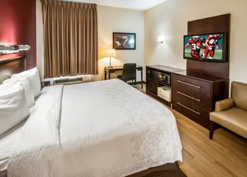 Red Roof Inn PLUS+ Austin South – Airport. hotel thumbnail 6