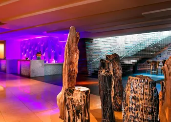 W Scottsdale hotel thumbnail 2