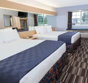 Microtel Inn & Suites by Wyndham Conyers/Atlanta Area hotel detail image 5