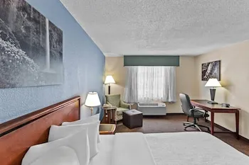 Rodeway Inn hotel thumbnail 5