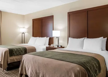 Comfort Inn - Pocono Mountains hotel thumbnail 6