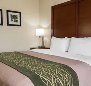 Comfort Inn - Pocono Mountains hotel detail image 7