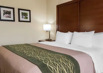 Comfort Inn - Pocono Mountains hotel thumbnail 7