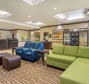 Comfort Inn & Suites Northeast - Gateway hotel detail image 3