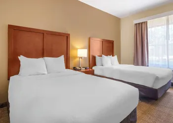 Comfort Inn & Suites Northeast - Gateway hotel thumbnail 6