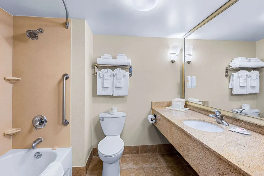 Comfort Suites Vacaville-Napa Valley Area hotel detail image 6