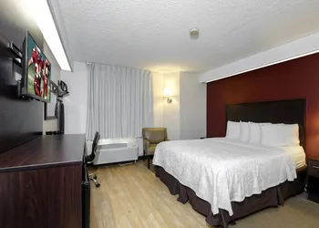 Red Roof Inn PLUS+ Palm Coast hotel thumbnail 8