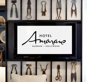 Hotel Amarano Burbank - Hollywood hotel detail image 4