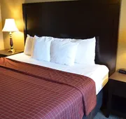 Comfort Inn Detroit Downtown hotel detail image 7