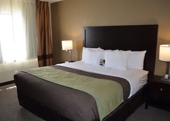 Comfort Inn Detroit Downtown hotel thumbnail 8