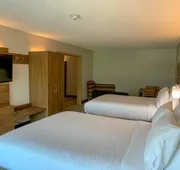 Holiday Inn Express & Suites Lexington Dtwn Area-Keenland by IHG hotel detail image 4