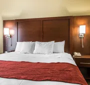 Comfort Suites Effingham Central hotel detail image 7