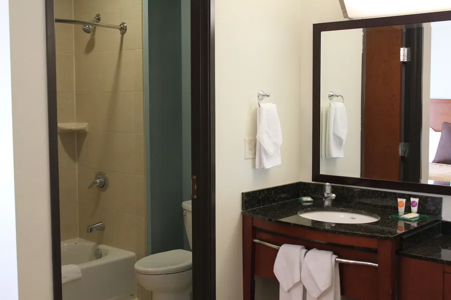 Hyatt Place Dallas/Garland/Richardson hotel detail image 6