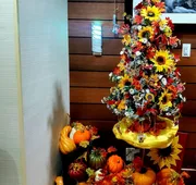Quality Inn Peru near Starved Rock State Park hotel detail image 3