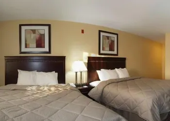 Econo Lodge Inn & Suites Monroe hotel thumbnail 6