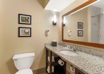 Comfort Suites At The University - Conway hotel thumbnail 4