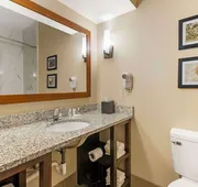Comfort Suites At The University - Conway hotel detail image 5