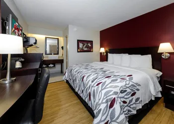 Red Roof Inn Detroit - Troy hotel thumbnail 8