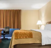 Comfort Inn Binghamton I-81 hotel detail image 7