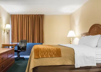 Comfort Inn Binghamton I-81 hotel thumbnail 7