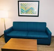 Holiday Inn Express & Suites Tampa USF Busch Gardens by IHG hotel detail image 3
