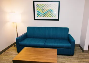 Holiday Inn Express & Suites Tampa USF Busch Gardens by IHG hotel thumbnail 3