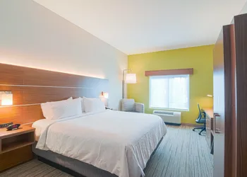 Holiday Inn Express & Suites Tampa USF Busch Gardens by IHG hotel thumbnail 5