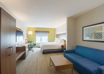 Holiday Inn Express & Suites Tampa USF Busch Gardens by IHG hotel thumbnail 6