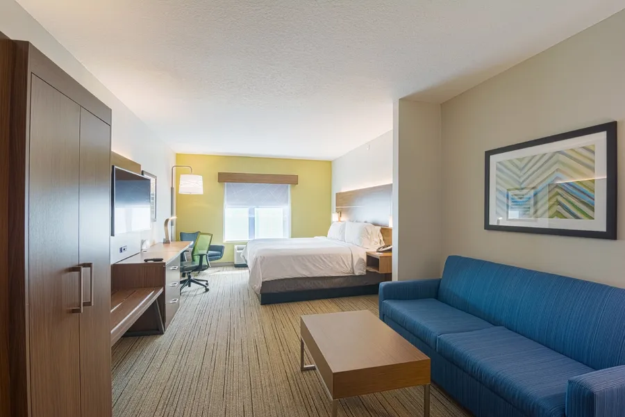 Holiday Inn Express & Suites Tampa USF Busch Gardens by IHG hotel detail image 6