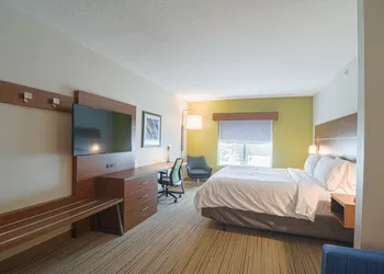 Holiday Inn Express & Suites Tampa USF Busch Gardens by IHG hotel thumbnail 7