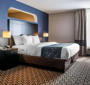 Comfort Suites Benton Harbor - St. Joseph hotel detail image 7
