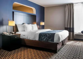 Comfort Suites Benton Harbor - St. Joseph hotel thumbnail 7