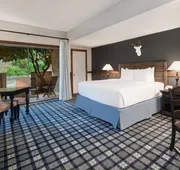 Tapatio Springs Hill Country Resort hotel detail image 4