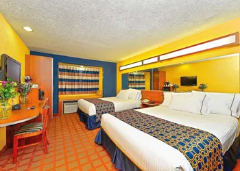 Microtel Inn & Suites by Wyndham New Braunfels hotel thumbnail 5