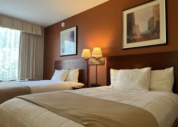 The Boston Hotel hotel thumbnail 7