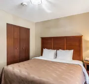 Quality Inn Chester - South Richmond hotel detail image 7