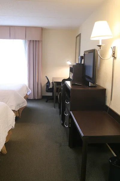 Hampton Inn & Suites Lino Lakes hotel detail image 6