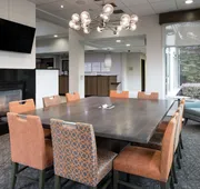 Hilton Garden Inn DFW North Grapevine hotel detail image 3